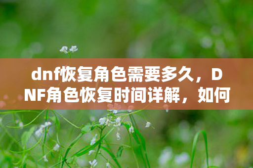 dnf恢复角色需要多久,DNF角色恢复时间详解,如何高效恢复被误删或丢失的角色 dnf恢复角色需要多久,DNF角色恢复时间详解,如何高效恢复被误删或丢失的角色