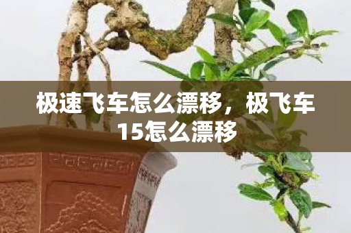 极速飞车怎么漂移,极飞车15怎么漂移 极速飞车怎么漂移,极飞车15怎么漂移