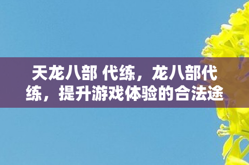 天龙八部 代练，龙八部代练，提升游戏体验的合法途径