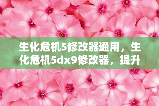 生化危机5修改器通用，生化危机5dx9修改器，提升游戏体验的必备神器