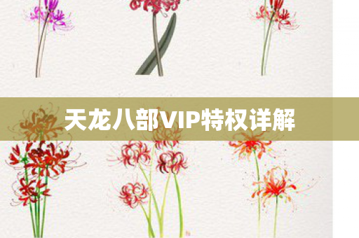 天龙八部VIP特权详解 天龙八部VIP特权详解