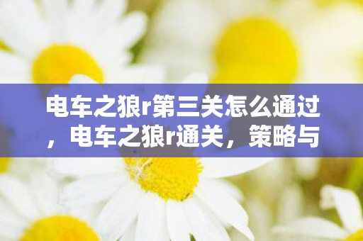 电车之狼r第三关怎么通过,电车之狼r通关,策略与技巧的深度解析 电车之狼r第三关怎么通过,电车之狼r通关,策略与技巧的深度解析
