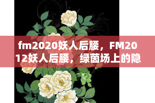 fm2020妖人后腰，FM2012妖人后腰，绿茵场上的隐形守护者