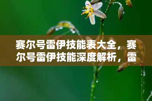 赛尔号雷伊技能表大全，赛尔号雷伊技能深度解析，雷霆万钧，震撼战场！