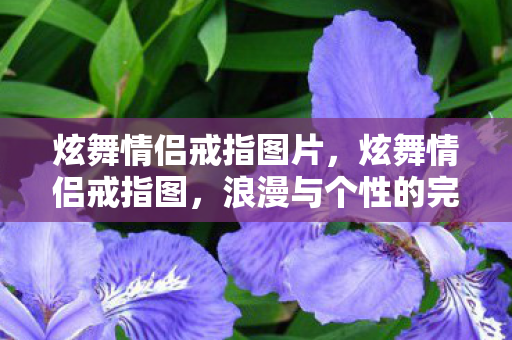 炫舞情侣戒指图片，炫舞情侣戒指图，浪漫与个性的完美融合