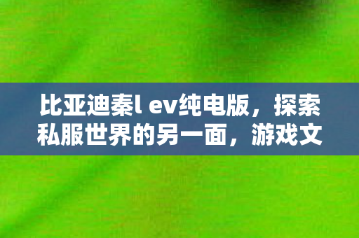 比亚迪秦l ev纯电版,探索私服世界的另一面,游戏文化的独特魅力与玩家社群 比亚迪秦l ev纯电版,探索私服世界的另一面,游戏文化的独特魅力与玩家社群