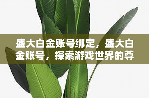 盛大白金账号绑定,盛大白金账号,探索游戏世界的尊贵通行证 盛大白金账号绑定,盛大白金账号,探索游戏世界的尊贵通行证