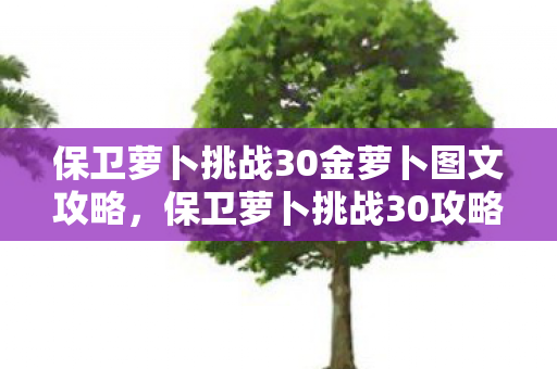 保卫萝卜挑战30金萝卜图文攻略,保卫萝卜挑战30攻略金萝卜布阵图 保卫萝卜挑战30金萝卜图文攻略,保卫萝卜挑战30攻略金萝卜布阵图