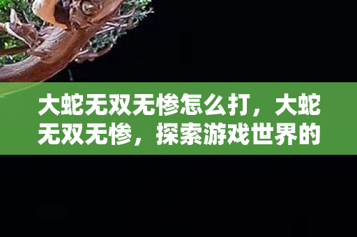 大蛇无双无惨怎么打,大蛇无双无惨,探索游戏世界的无限可能 大蛇无双无惨怎么打,大蛇无双无惨,探索游戏世界的无限可能
