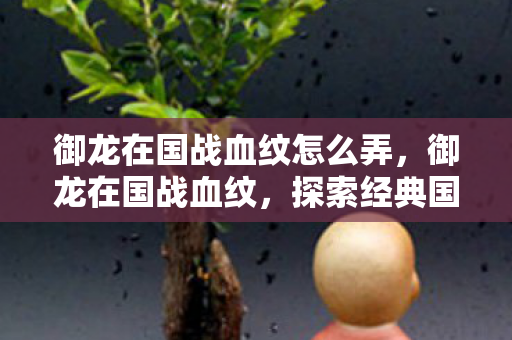 御龙在国战血纹怎么弄,御龙在国战血纹,探索经典国战游戏的魅力 御龙在国战血纹怎么弄,御龙在国战血纹,探索经典国战游戏的魅力