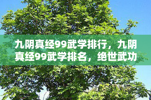九阴真经99武学排行,九阴真经99武学排名,绝世武功的巅峰对决 九阴真经99武学排行,九阴真经99武学排名,绝世武功的巅峰对决