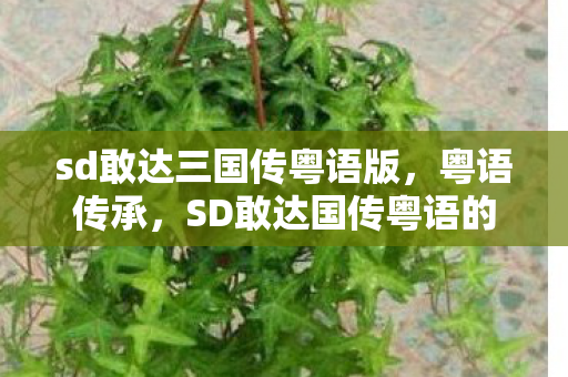 sd敢达三国传粤语版,粤语传承,SD敢达国传粤语的文化魅力 sd敢达三国传粤语版,粤语传承,SD敢达国传粤语的文化魅力
