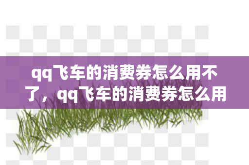 qq飞车的消费券怎么用不了,qq飞车的消费券怎么用 qq飞车的消费券怎么用不了,qq飞车的消费券怎么用