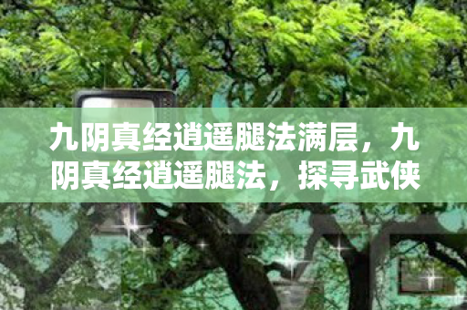 九阴真经逍遥腿法满层,九阴真经逍遥腿法,探寻武侠世界的极致腿技 九阴真经逍遥腿法满层,九阴真经逍遥腿法,探寻武侠世界的极致腿技