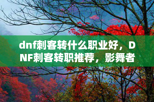 dnf刺客转什么职业好,DNF刺客转职推荐,影舞者、死灵术士、刃影的抉择 dnf刺客转什么职业好,DNF刺客转职推荐,影舞者、死灵术士、刃影的抉择