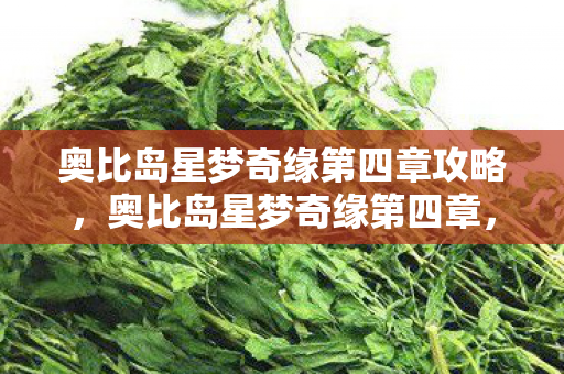 奥比岛星梦奇缘第四章攻略,奥比岛星梦奇缘第四章,梦幻之旅的延续 奥比岛星梦奇缘第四章攻略,奥比岛星梦奇缘第四章,梦幻之旅的延续