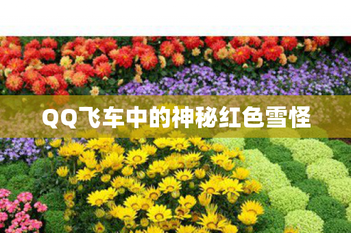 QQ飞车中的神秘红色雪怪 QQ飞车中的神秘红色雪怪