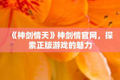 《神剑情天》神剑情官网,探索正版游戏的魅力 《神剑情天》神剑情官网,探索正版游戏的魅力