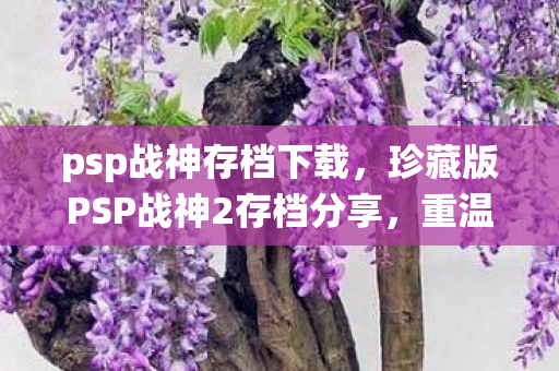 psp战神存档下载，珍藏版PSP战神2存档分享，重温经典战役的秘籍