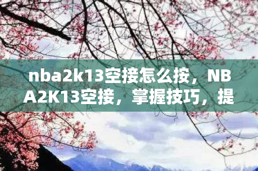 nba2k13空接怎么按，NBA2K13空接，掌握技巧，提升游戏乐趣