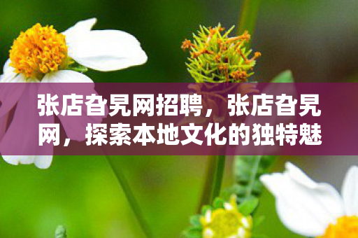 张店旮旯网招聘，张店旮旯网，探索本地文化的独特魅力