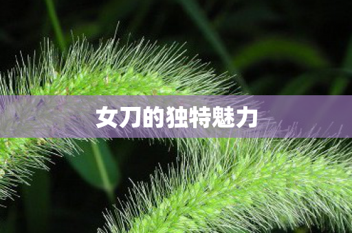 女刀的独特魅力 女刀的独特魅力