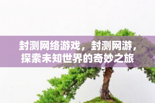封测网络游戏，封测网游，探索未知世界的奇妙之旅