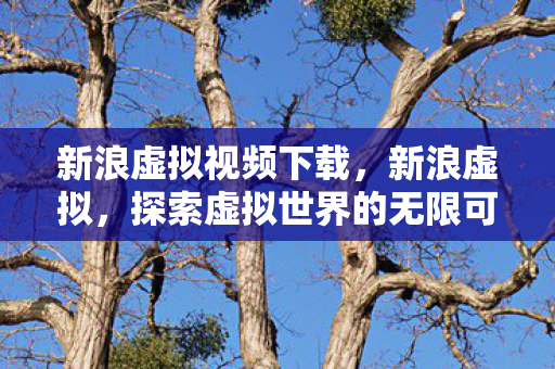 新浪虚拟视频下载，新浪虚拟，探索虚拟世界的无限可能