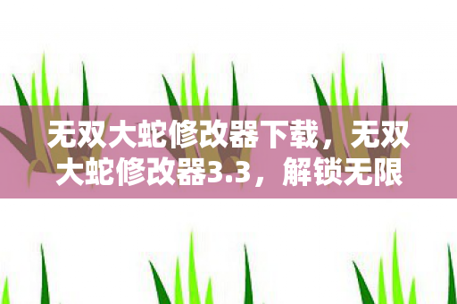 无双大蛇修改器下载，无双大蛇修改器3.3，解锁无限可能的策略游戏神器