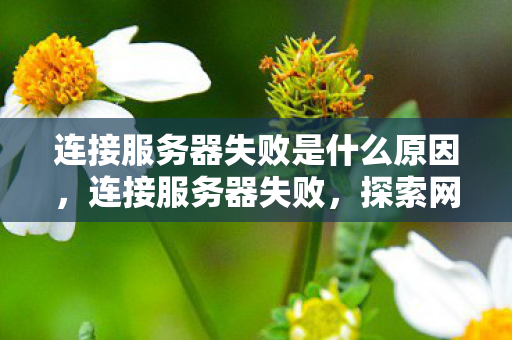 连接服务器失败是什么原因,连接服务器失败,探索网络稳定性的挑战与解决方案 连接服务器失败是什么原因,连接服务器失败,探索网络稳定性的挑战与解决方案
