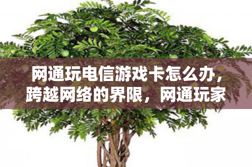 网通玩电信游戏卡怎么办,跨越网络的界限,网通玩家在电信游戏中的挑战与应对 网通玩电信游戏卡怎么办,跨越网络的界限,网通玩家在电信游戏中的挑战与应对