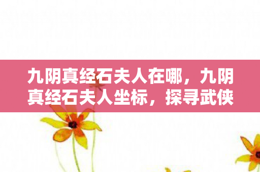 九阴真经石夫人在哪,九阴真经石夫人坐标,探寻武侠世界的神秘之地 九阴真经石夫人在哪,九阴真经石夫人坐标,探寻武侠世界的神秘之地