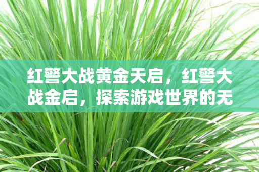 红警大战黄金天启,红警大战金启,探索游戏世界的无限可能 红警大战黄金天启,红警大战金启,探索游戏世界的无限可能