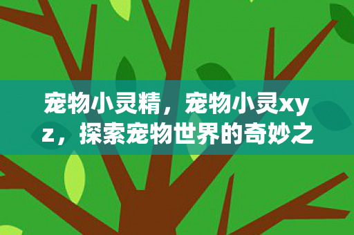 宠物小灵精,宠物小灵xyz,探索宠物世界的奇妙之旅 宠物小灵精,宠物小灵xyz,探索宠物世界的奇妙之旅