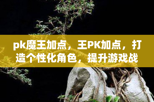 pk魔王加点,王PK加点,打造个性化角色,提升游戏战斗力的关键 pk魔王加点,王PK加点,打造个性化角色,提升游戏战斗力的关键