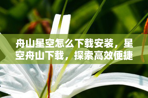 舟山星空怎么下载安装,星空舟山下载,探索高效便捷的游戏资源获取方式 舟山星空怎么下载安装,星空舟山下载,探索高效便捷的游戏资源获取方式