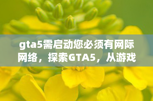 gta5需启动您必须有网际网络,探索GTA5,从游戏世界到现实生活的启示 gta5需启动您必须有网际网络,探索GTA5,从游戏世界到现实生活的启示