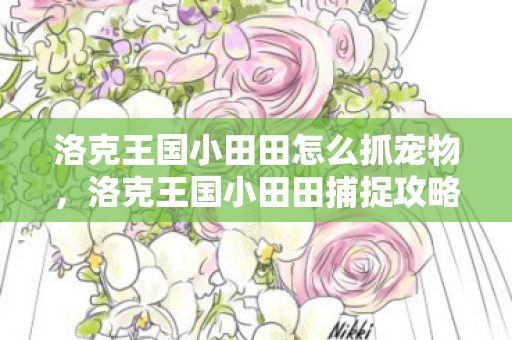 洛克王国小田田怎么抓宠物,洛克王国小田田捕捉攻略 洛克王国小田田怎么抓宠物,洛克王国小田田捕捉攻略