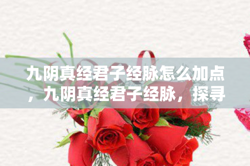 九阴真经君子经脉怎么加点，九阴真经君子经脉，探寻武侠世界的内功奥秘