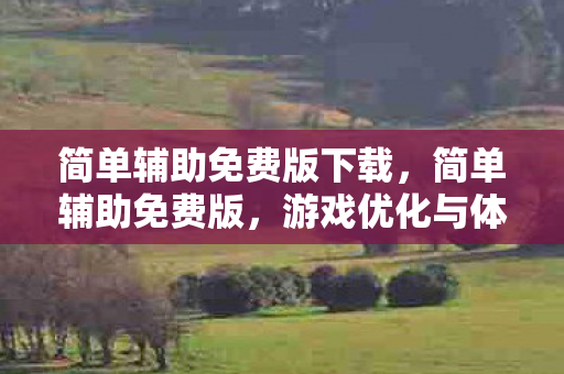 简单辅助免费版下载,简单辅助免费版,游戏优化与体验提升的神器 简单辅助免费版下载,简单辅助免费版,游戏优化与体验提升的神器
