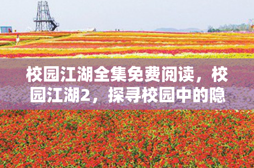 校园江湖全集免费阅读，校园江湖2，探寻校园中的隐形江湖
