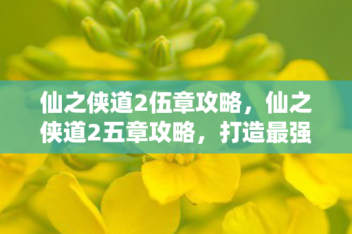 仙之侠道2伍章攻略，仙之侠道2五章攻略，打造最强角色，征服仙界