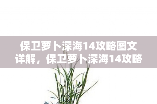 保卫萝卜深海14攻略图文详解,保卫萝卜深海14攻略 保卫萝卜深海14攻略图文详解,保卫萝卜深海14攻略