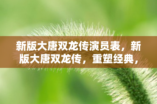 新版大唐双龙传演员表,新版大唐双龙传,重塑经典,再续传奇 新版大唐双龙传演员表,新版大唐双龙传,重塑经典,再续传奇