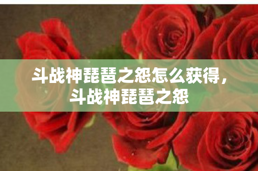 斗战神琵琶之怨怎么获得,斗战神琵琶之怨 斗战神琵琶之怨怎么获得,斗战神琵琶之怨