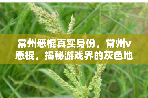 常州恶棍真实身份，常州v恶棍，揭秘游戏界的灰色地带