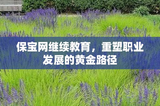 保宝网继续教育,重塑职业发展的黄金路径 保宝网继续教育,重塑职业发展的黄金路径