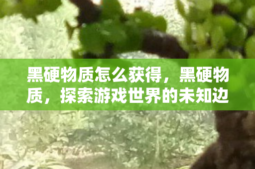 黑硬物质怎么获得,黑硬物质,探索游戏世界的未知边界 黑硬物质怎么获得,黑硬物质,探索游戏世界的未知边界