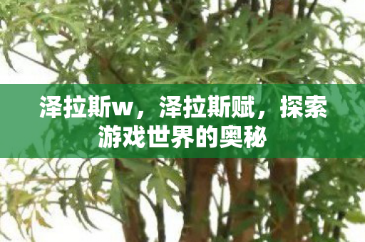 泽拉斯w,泽拉斯赋,探索游戏世界的奥秘 泽拉斯w,泽拉斯赋,探索游戏世界的奥秘