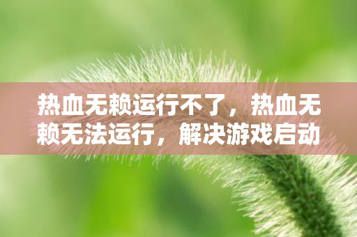 热血无赖运行不了，热血无赖无法运行，解决游戏启动问题的全面指南